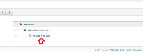 all-website-data