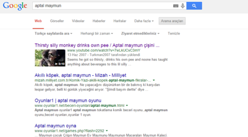 Google Ziyaret Etmedikleriniz