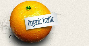 Organik Trafik