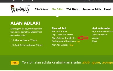 Alan transfer et GoDaddy
