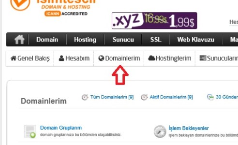 isimtescil domain transfer