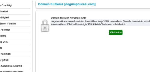 domain-kilit-kaldir İsimtescil Domain Transfer