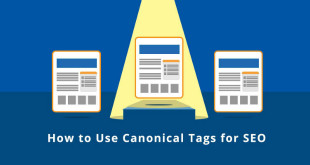 seo-canonical-etiketi