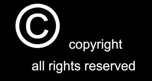 seo-copyright