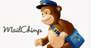 seo-mailchimp