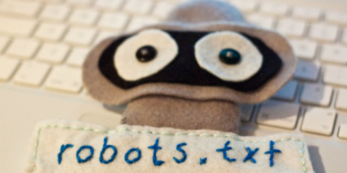 seo-robots