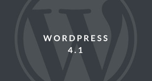 seo-wordpress-4-1