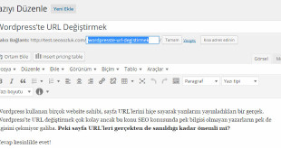 seo-wordpress-url-degistirmek