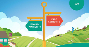 Domain authority nedir