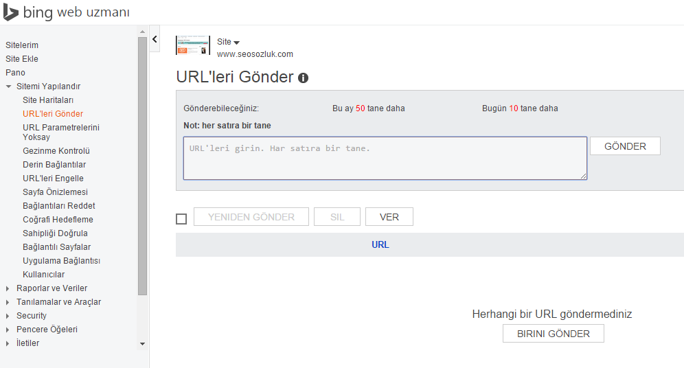 Bing URLleri gönder