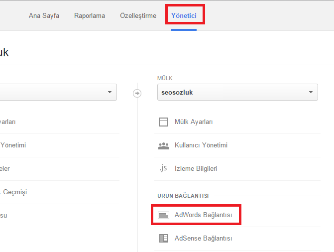adwords raporu