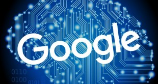 algoritma arama motoru optimizasyonu