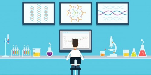email pazarlama test