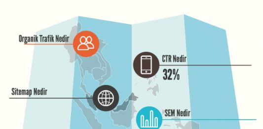 seo-terimleri